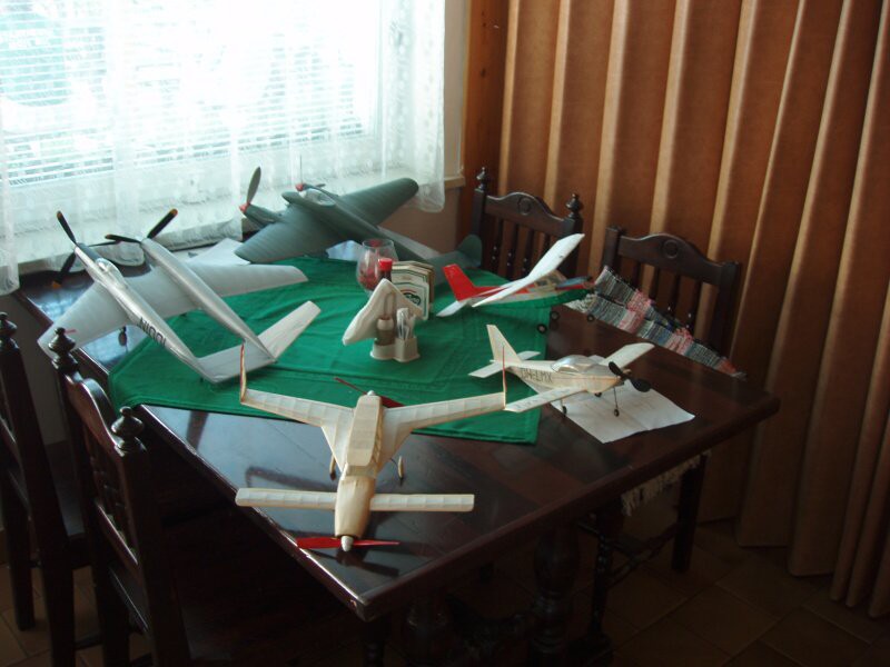 Některé z modelů Lubomíra Koutného