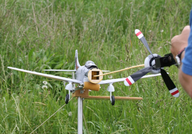  Foto: Ruja, 2008 (c)