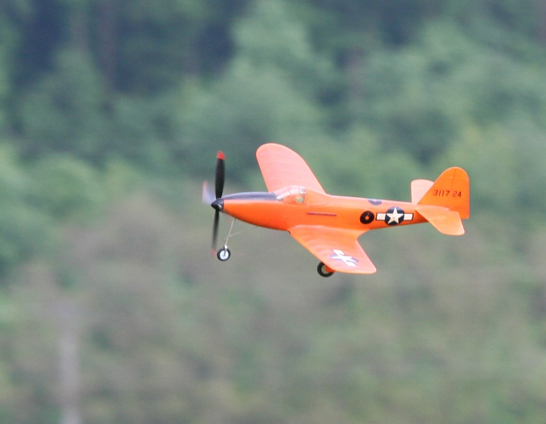  Foto: Ruja, 2008 (c)