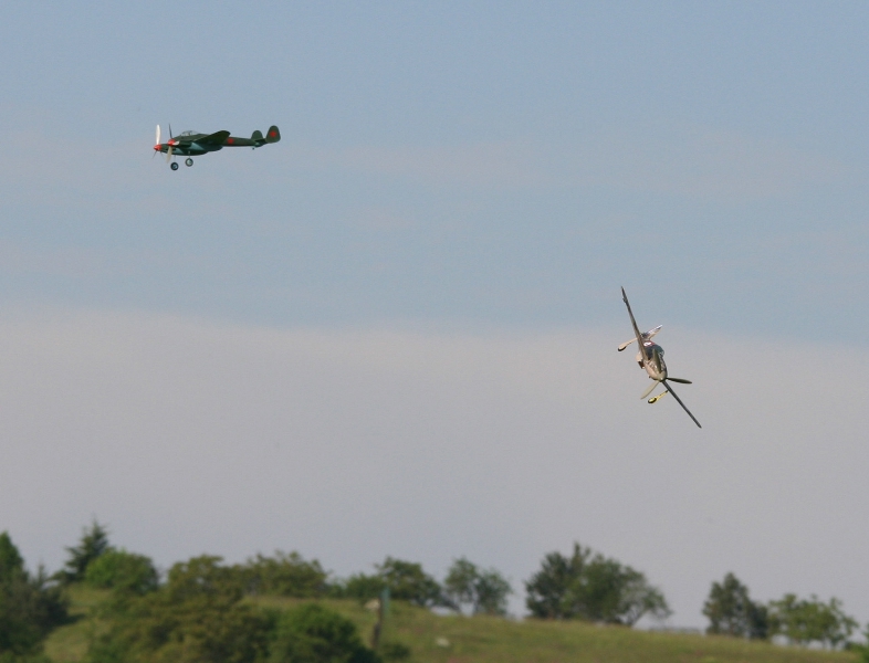  Foto: Ruja, 2008 (c)