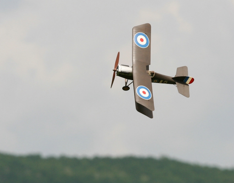  Foto: Ruja, 2008 (c)