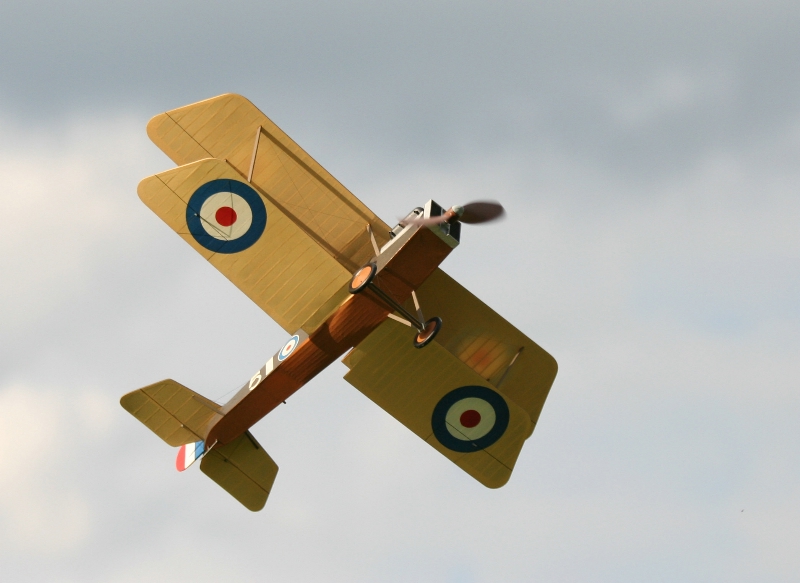  Foto: Ruja, 2008 (c)