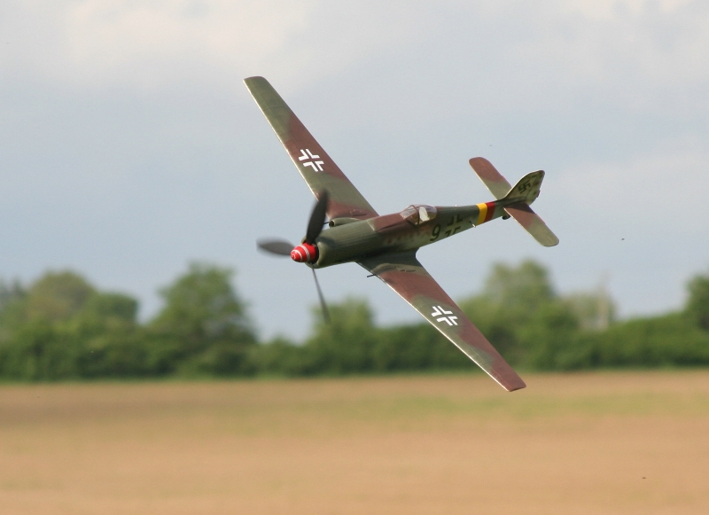  Foto: Ruja, 2008 (c)