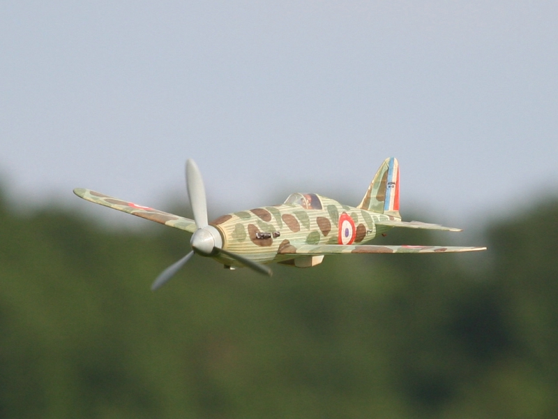  Foto: Ruja, 2008 (c)