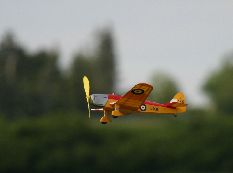  Foto: Ruja, 2008 (c)