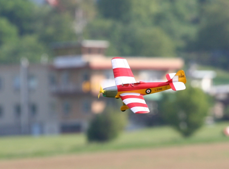  Foto: Ruja, 2008 (c)