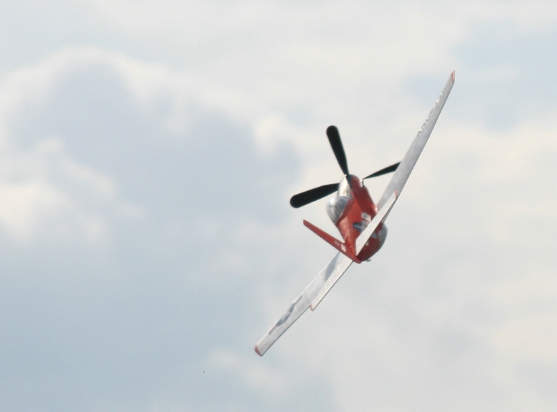  Foto: Ruja, 2008 (c)