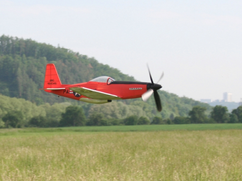  Foto: Ruja, 2008 (c)