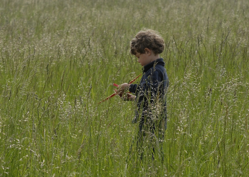  Foto: Petr Pokorný 2008 (c)