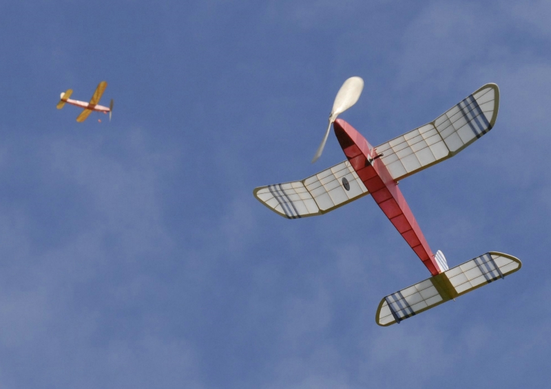  Foto: Petr Pokorný 2008 (c)