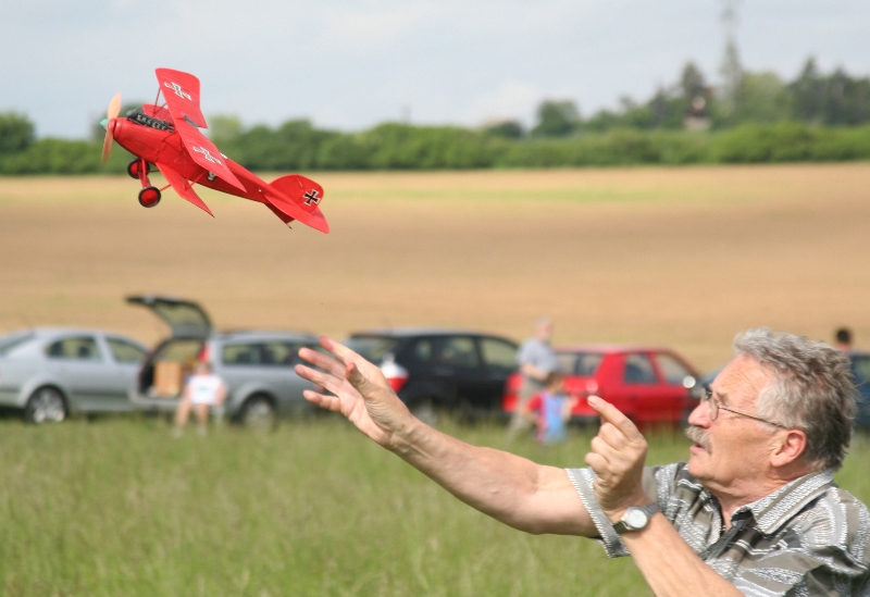  Foto: Ruja, 2008 (c)