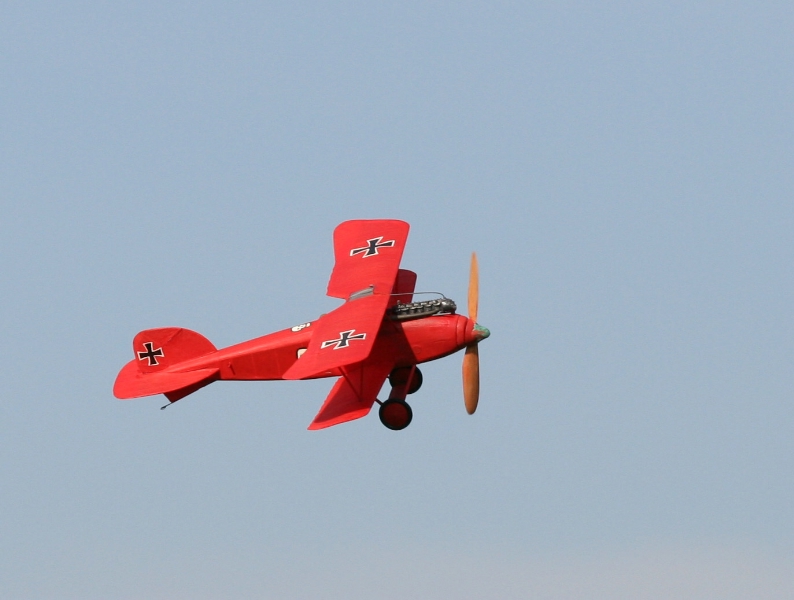  Foto: Ruja, 2008 (c)