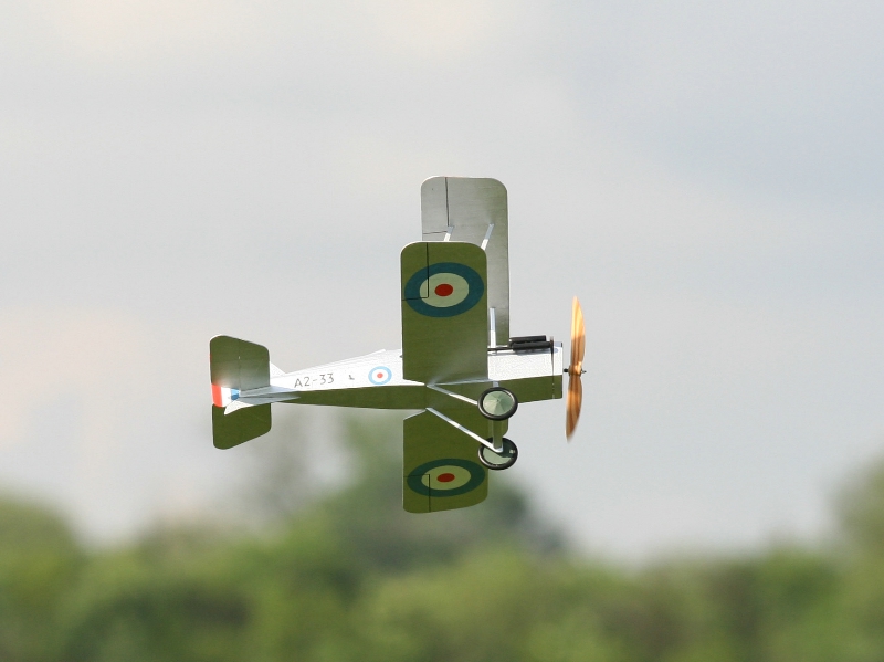  Foto: Ruja, 2008 (c)