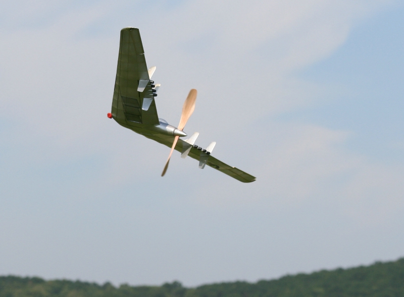  Foto: Ruja, 2008 (c)