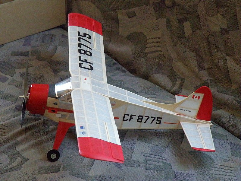  Foto: Petr Konopásek