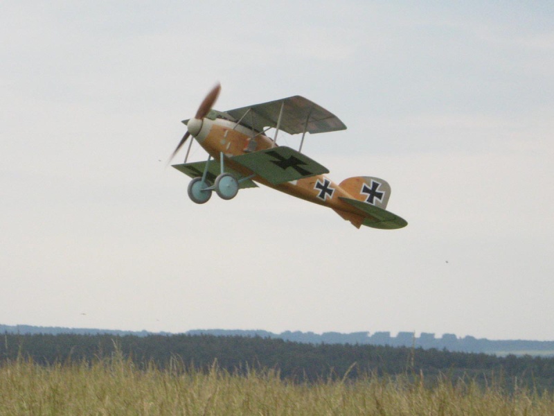  Foto: Tomš Vostradovský