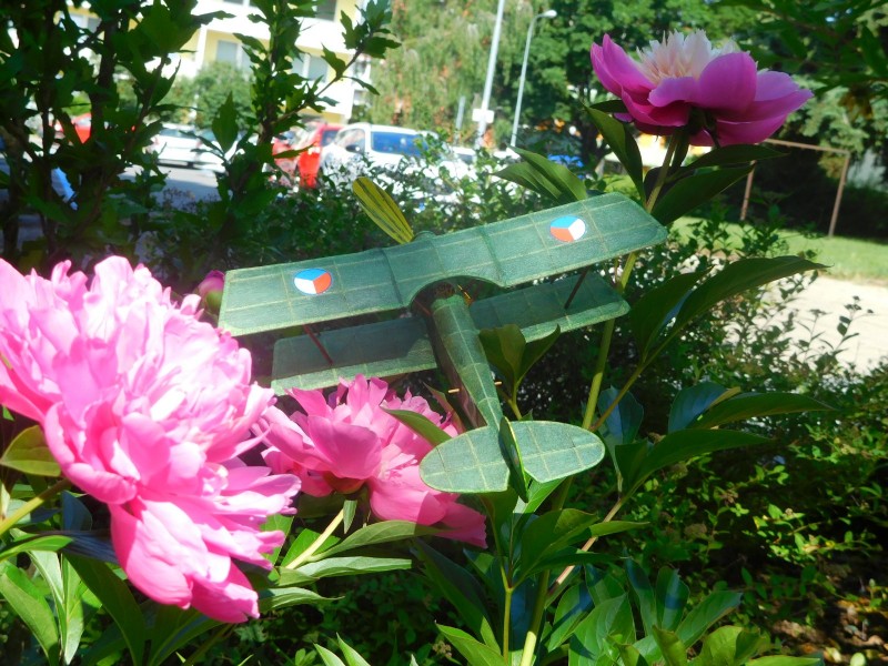 DSCN4772.JPG