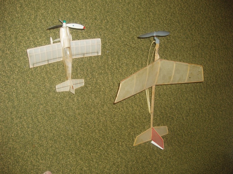 Bílý Hornisse a Liliput.JPG