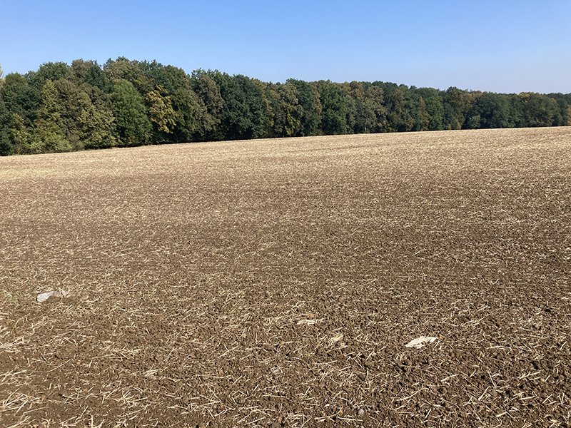 plocha za letištěm.JPG