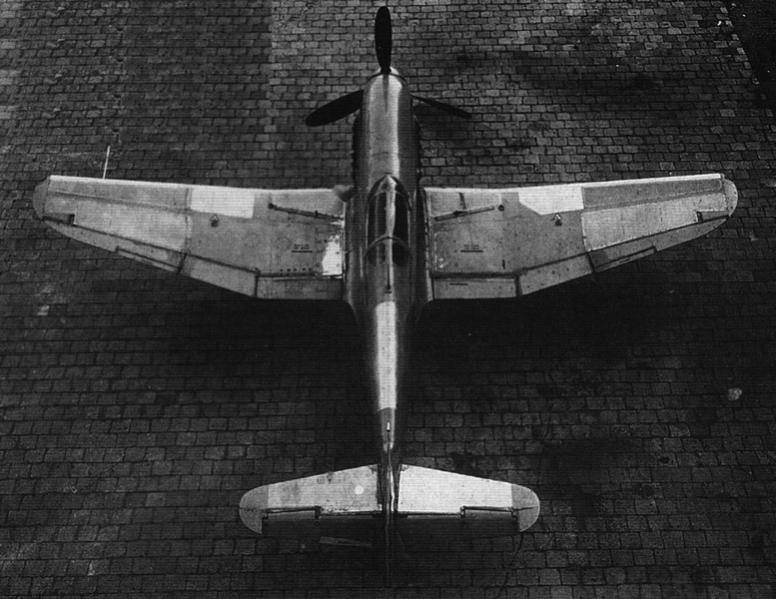 Не 100 (ЦАГИ,лето 1940г.).jpg