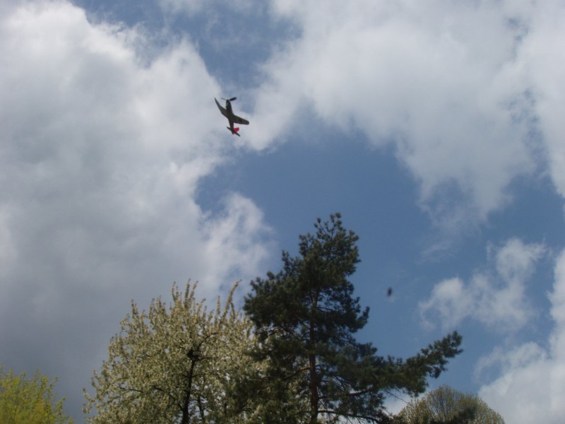 P1010014.JPG