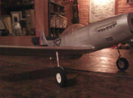 mustang FAU F51D 252 006.JPG