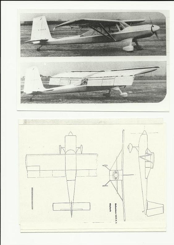Skylark 1.jpg