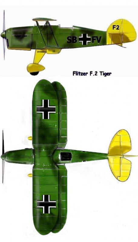 3ViewTiger.jpg