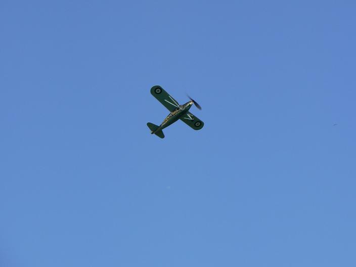 P1340971a.jpg
