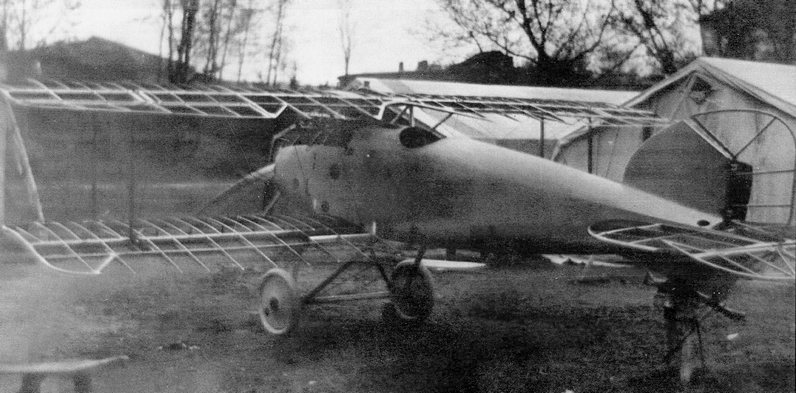 Albatros D.II.jpg