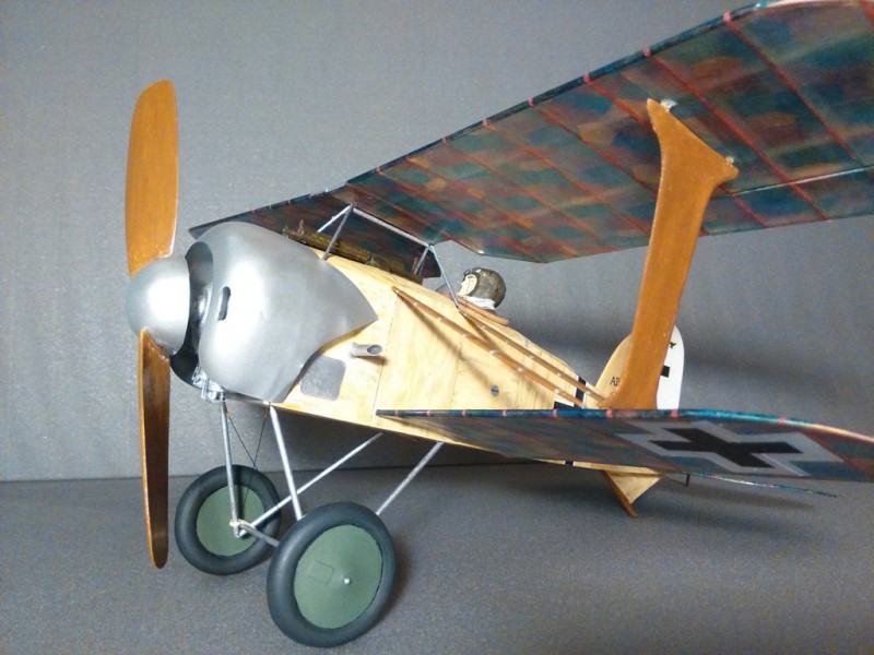 Albatros DXI_c.jpg