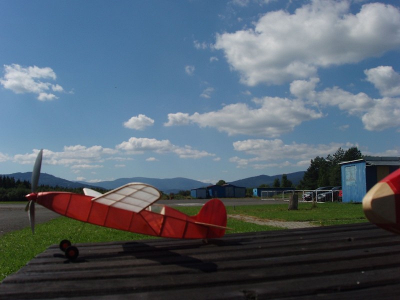 Pyloňák v Jeseníku.jpg