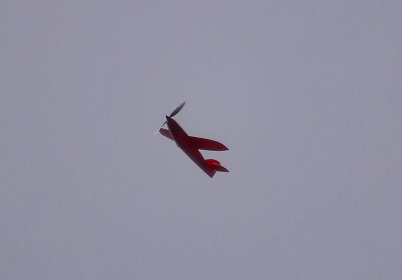 DSC_0838.jpg