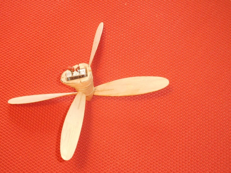 DSCN3536.JPG