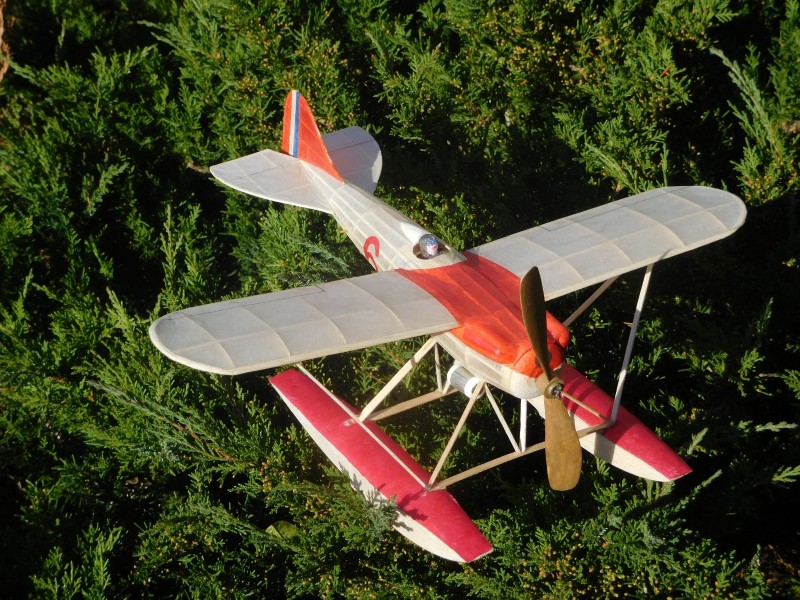 Přistání na keři.JPG